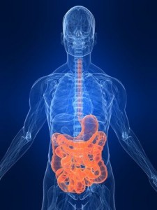 Fairhope Acupuncture