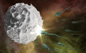 Acupuncture Daphne AL TN