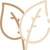 Acupuncture Daphne AL, Acupuncture Daphne AL tn, fertility Acupuncture Daphne AL tn, functional medicine Fairhope tn