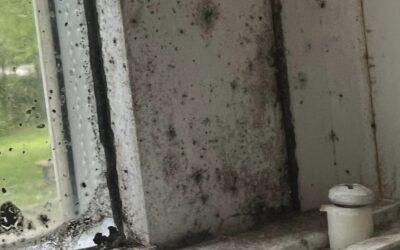 Functional Medicine for Mold Illness