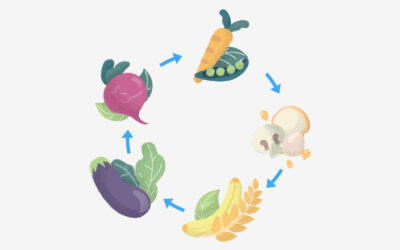 Acupuncture for Digestive Issues