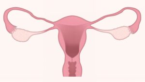 acupuncture for fertility Daphne, acupuncture for fertility Fairhope tn, fertility Acupuncture Daphne AL tn, fertility acupuncture Daphne