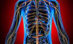 acupuncture Daphne AL