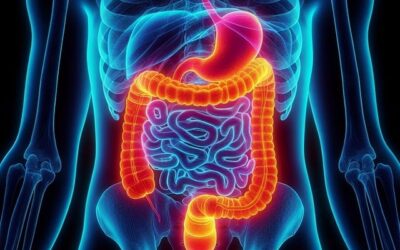 Acupuncture for Digestive Issues and Leaky Gut