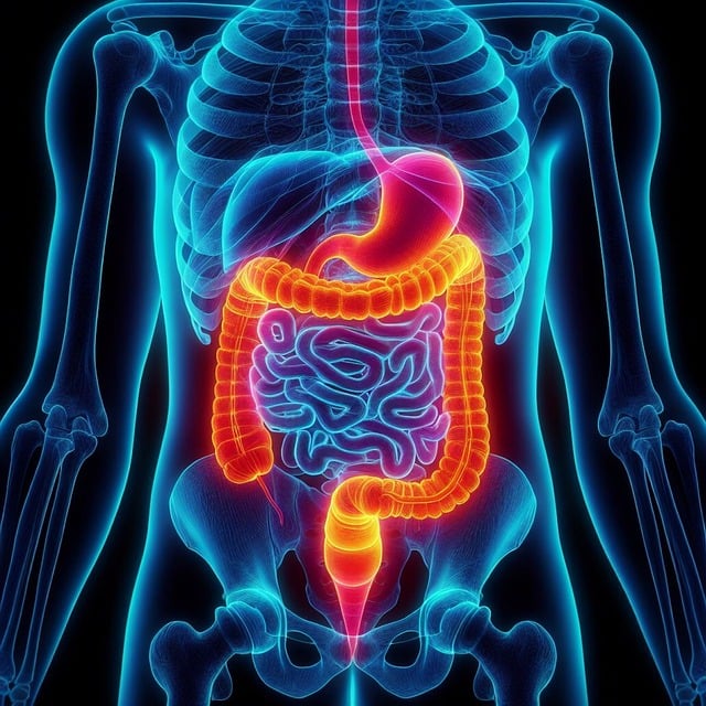 Acupuncture for Digestive Issues and Leaky Gut