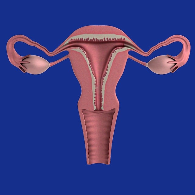 Causes and Treatments for PCOS and How Acupuncture Can Help