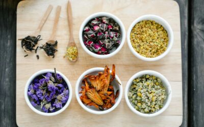 Functional Medicine in Daphne for Mast Cell Activation